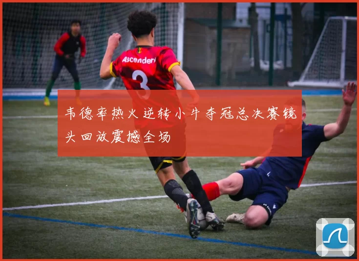 韦德率热火逆转小牛夺冠总决赛镜头回放震撼全场