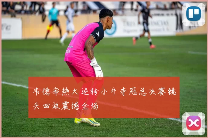 韦德率热火逆转小牛夺冠总决赛镜头回放震撼全场